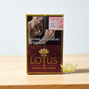 Xì Gà Lotus 30 Điếu